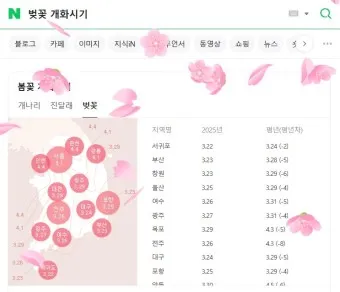 벚꽃 개화시기 2025 만개시기 히든스팟_16