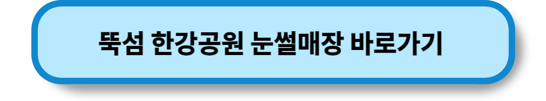 서울의 눈썰매장 (1)