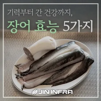 장어 효능 장어와 상극인 음식 건강 상식_12