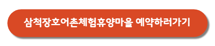 삼척 장호어촌체험마을-예약버튼