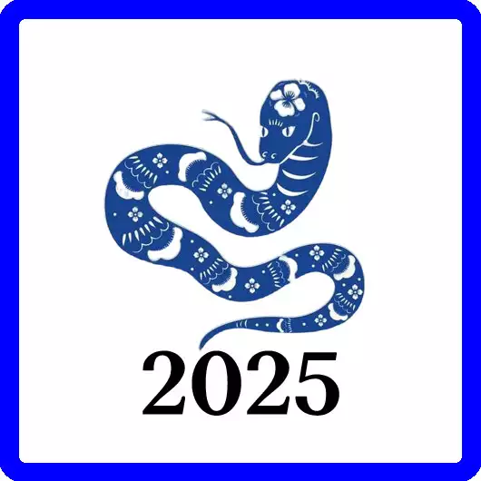 2025 을사년 청사해 푸른뱀의 해