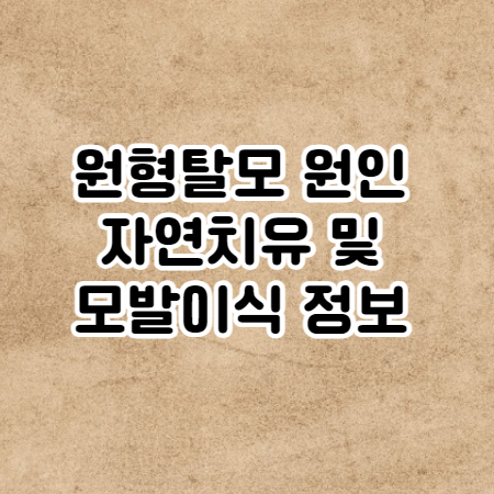 원형탈모 원인 (자연치유방법 부터 탈모증 모발이식까지)