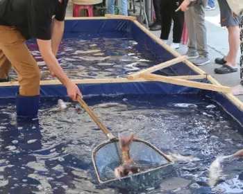 서천 자연산 광어 도미축제_14