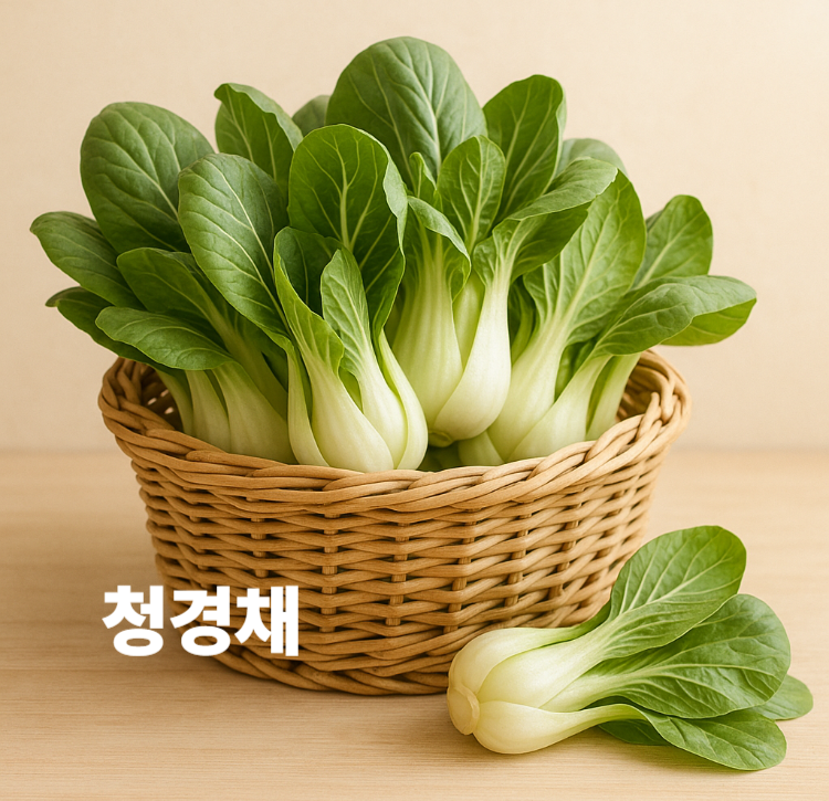 부드러운 잎 아삭한 흰줄기 시력보호 피부탄력 다이어트식단 치커리 효능