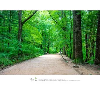 걷기 좋은 명품 숲길 50선 전국 서울 경기_2