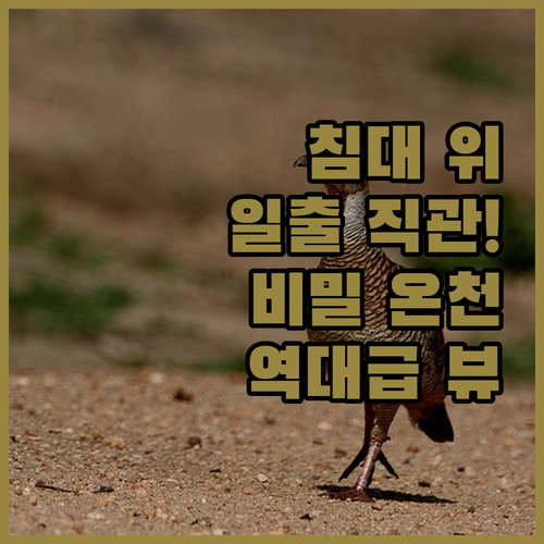 침대 위에서 감상하는 쓰구냥산 일출과..