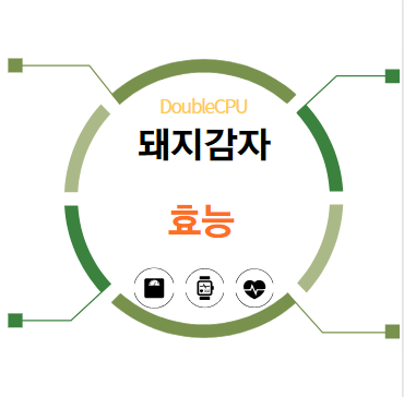 돼지감자 효능