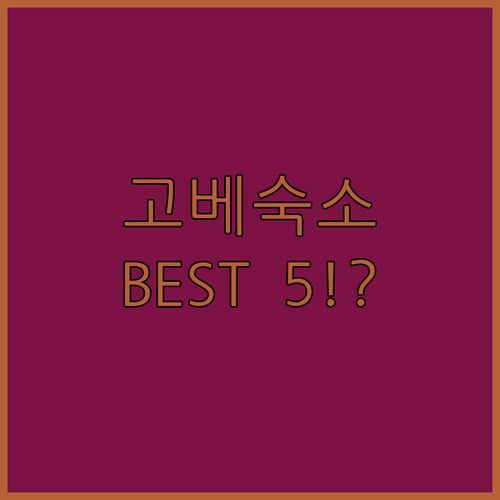 고베 산노미야 숙소 베스트 5 여행 ..