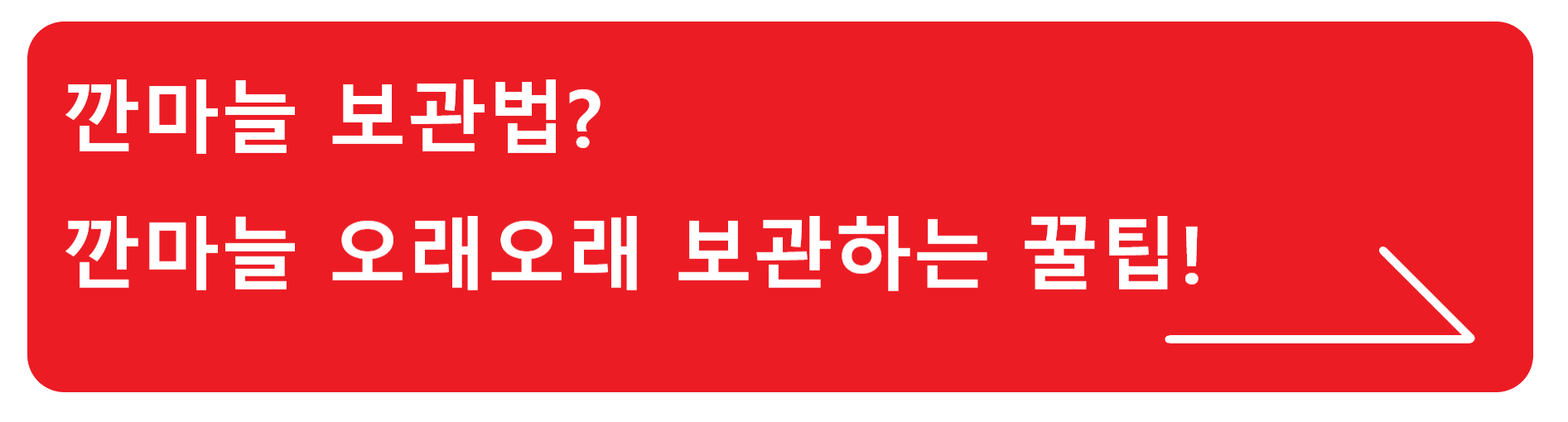 마늘 심는 시기? 때를 놓치기 쉬운 마늘 심기, 언제 심는게 가장 좋을까?