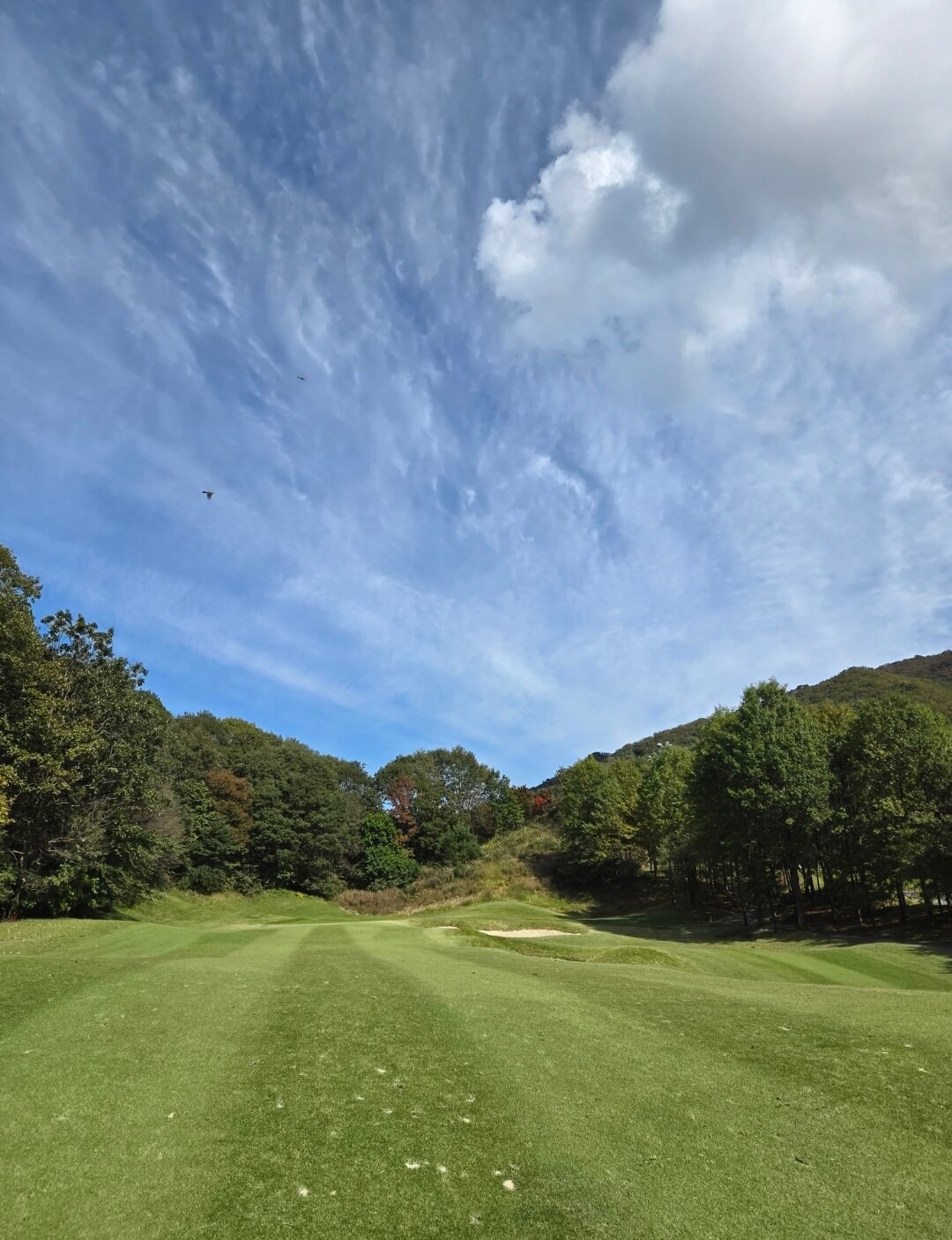 프리스틴밸리CC 페어웨이