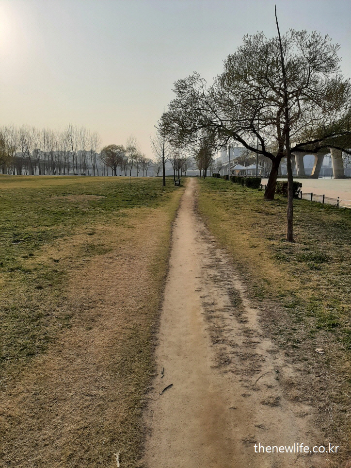 걷기 운동과 워킹화 고르는 법에 무릎보호를 위한 대표 이미지