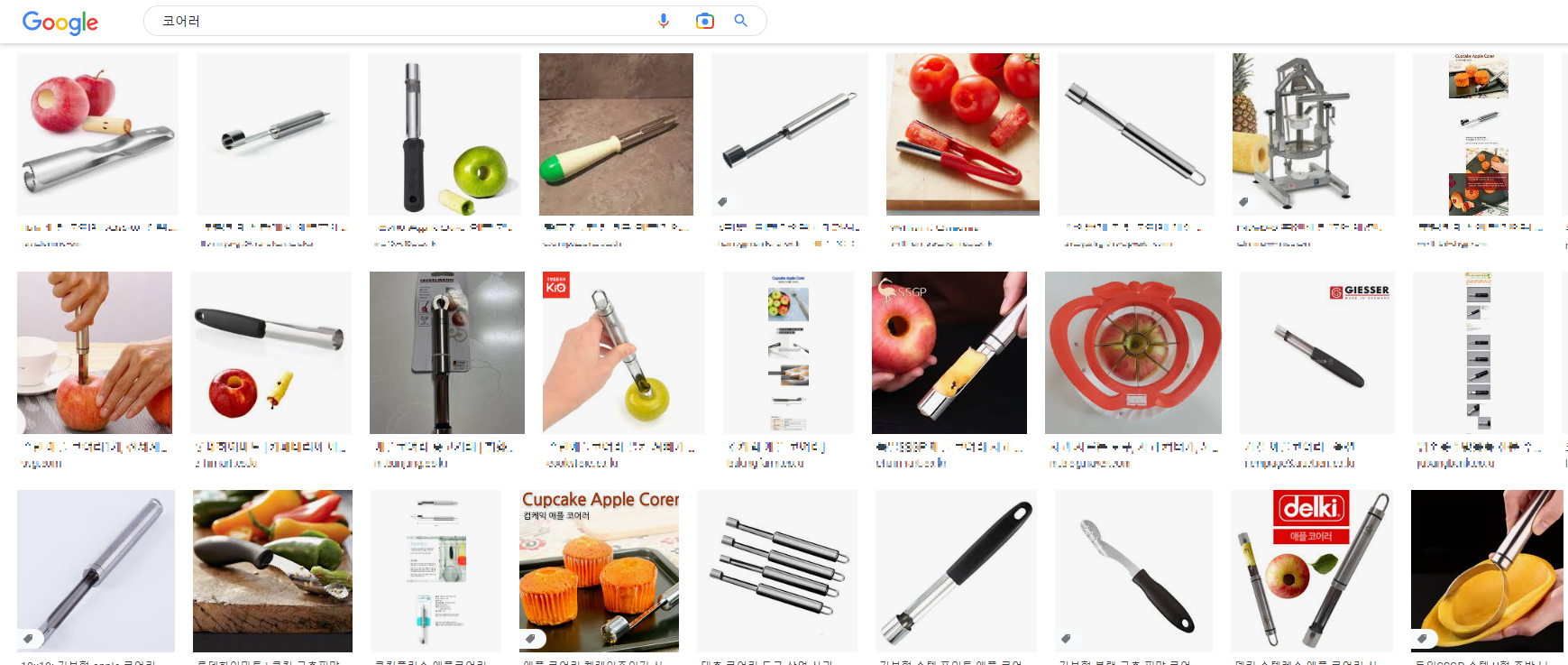 alt"구글 코어러 이미지 검색 사진"