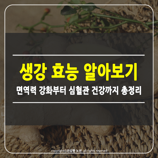 생강 효능