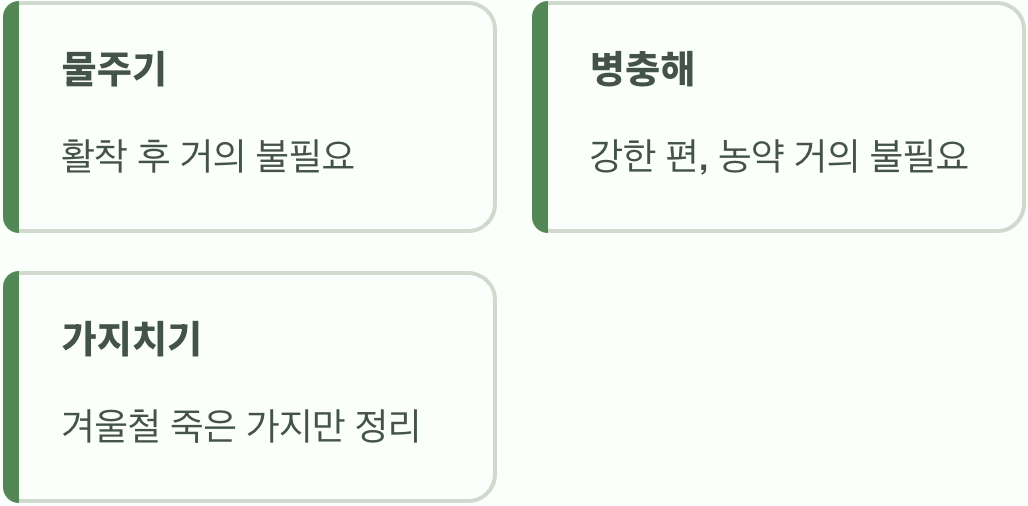 숲속 나무처럼, 자연스러운 관리