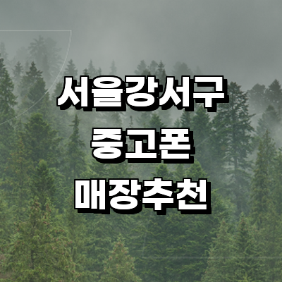 서울 강서구 중고폰