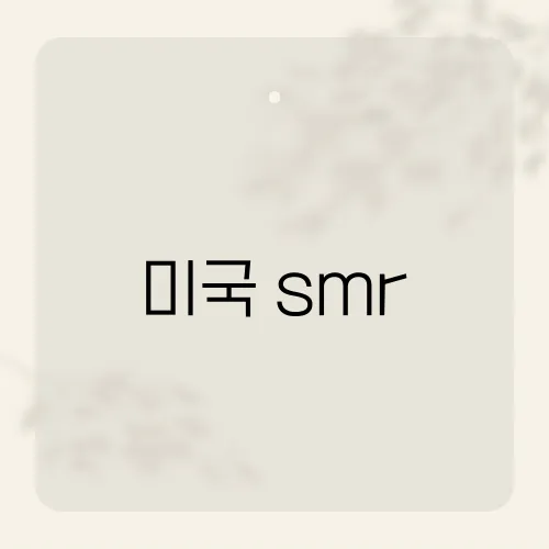 미국 smr, 빅테크가 몰려드는 속사정?