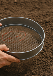 가을당근 파종시기