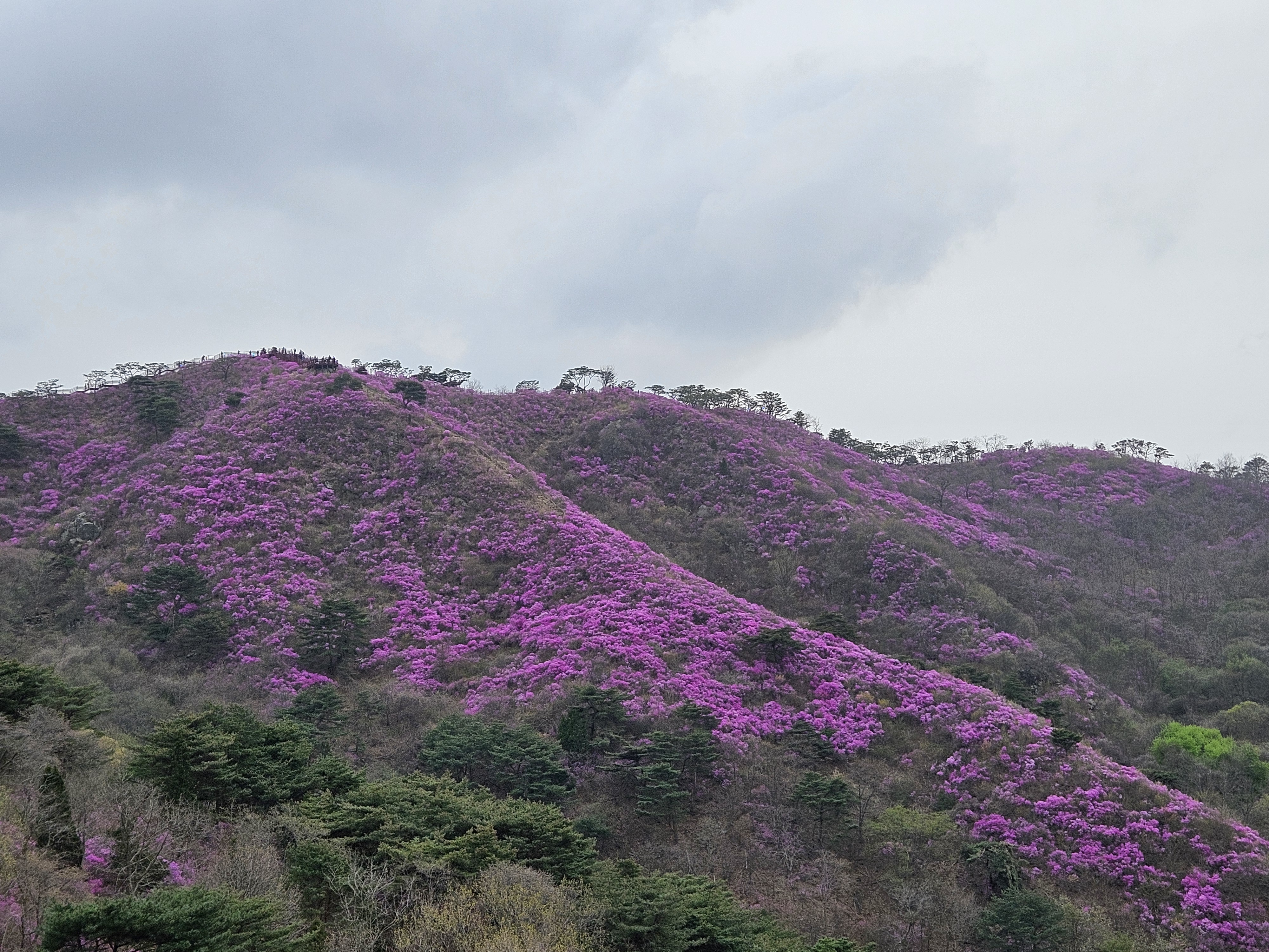 서울 근교 당일치기 여행지 추천 TOP 5 (차 없이도 OK) 관련사진