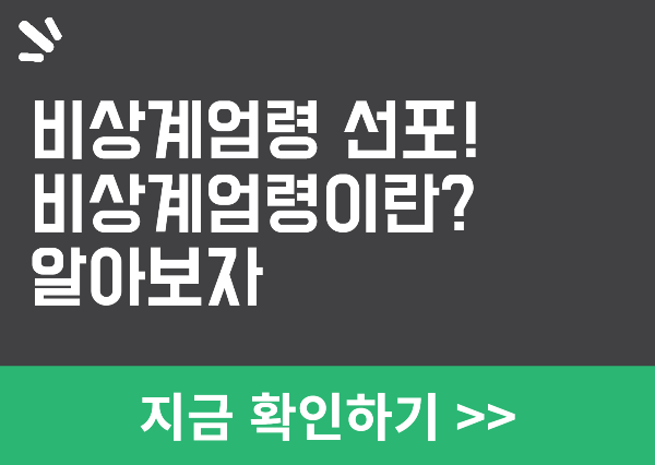 윤대통령 비상계엄령 선포