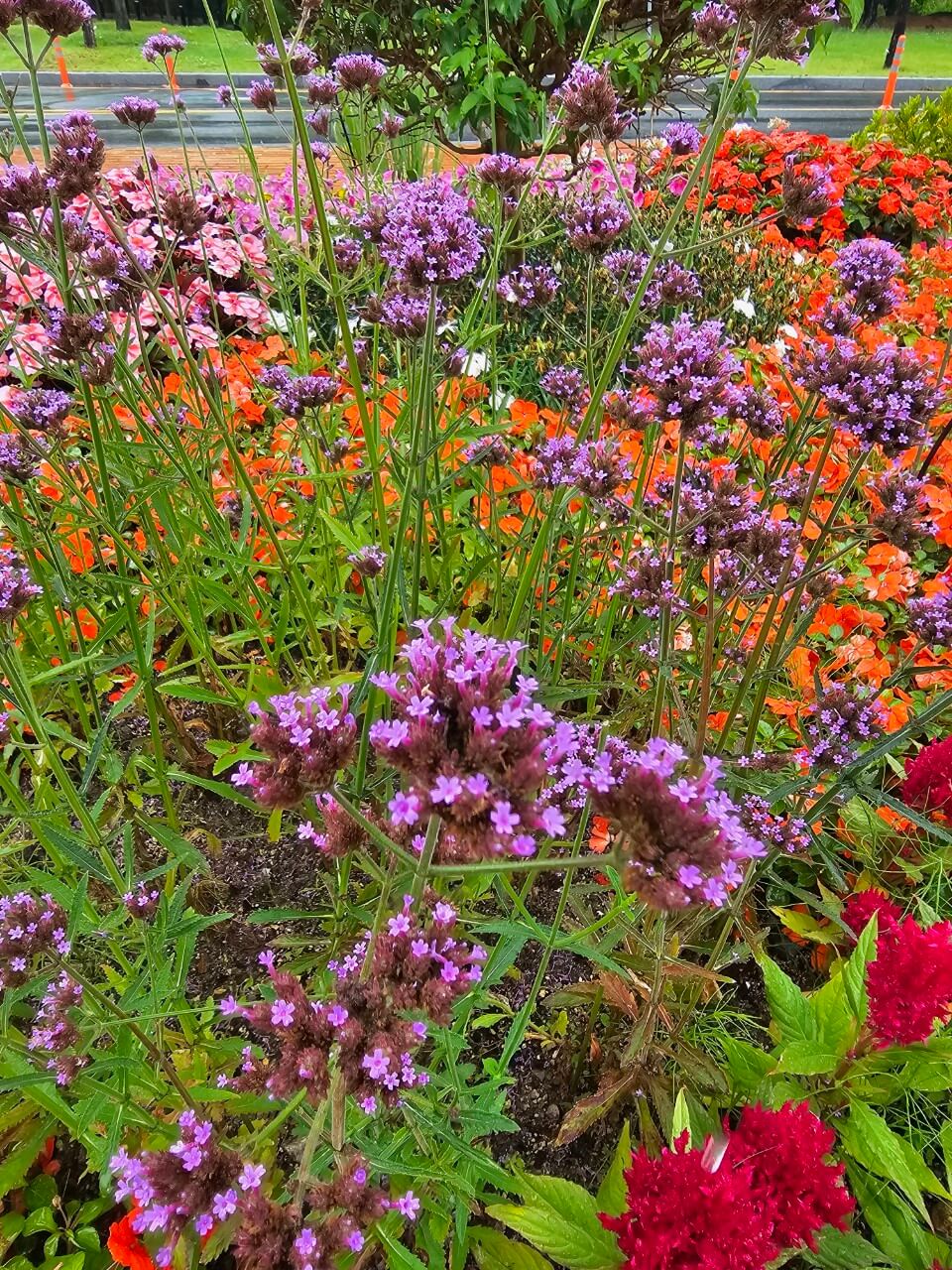 발달장애인 가족 지원제도 비교