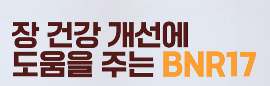 bnr17 유산균 효능