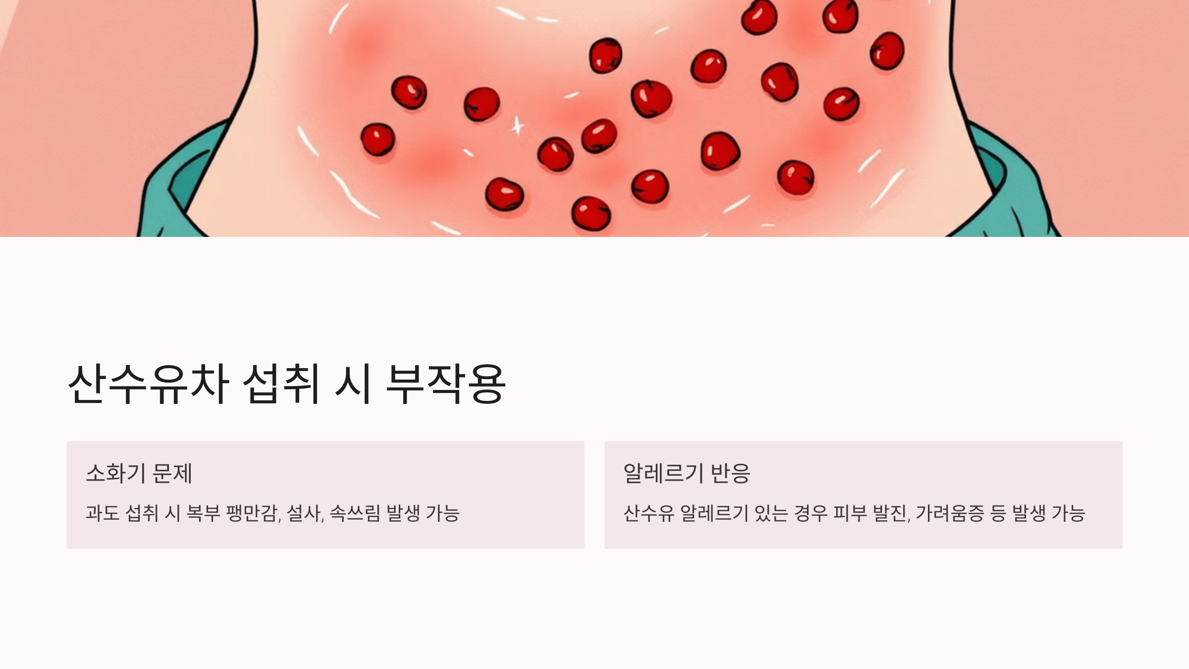 산수유차 사진입니다.