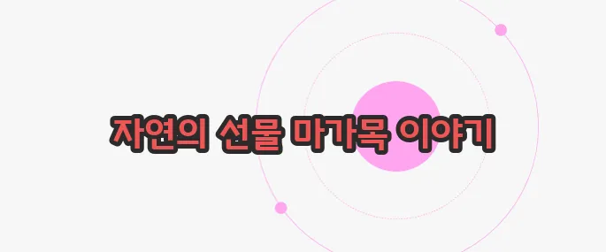마가목 효능 무슨 내용인지 살펴보죠
