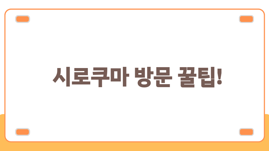 유후인 시로쿠마 맛집 후기, 숨겨진 매력은? - 시로쿠마 방문 꿀팁! 유후인 시로쿠마 맛집 후기, 숨겨진 매력은? - 시로쿠마 방문 꿀팁!
