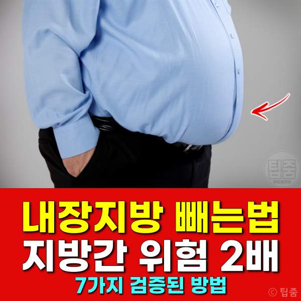 내장지방 빼는법 지방간 제거