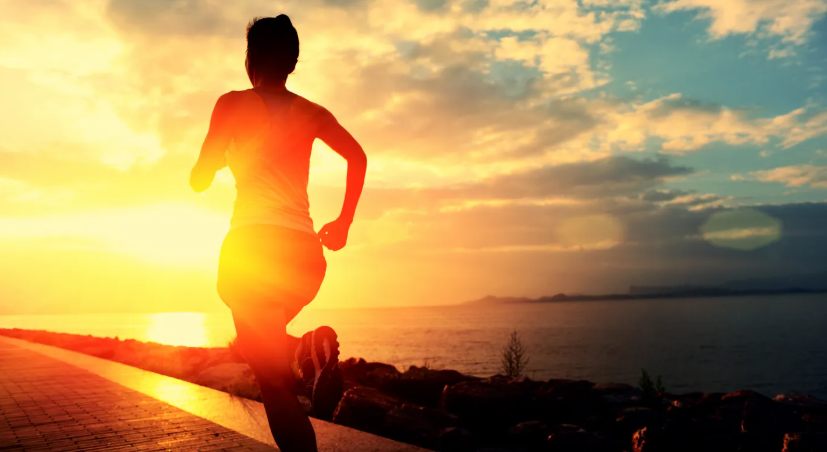 면역력을 높이는 생활습관과 기본 관리 방법 정리