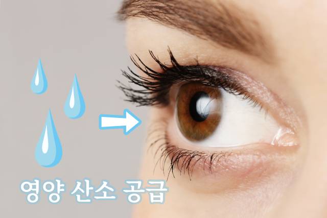 눈 따갑고 눈물 안구건조증 해결 눈뻑뻑함 이물감 눈건조증 원인