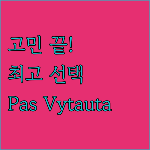Pas Vytauta 숙소 아직도 고