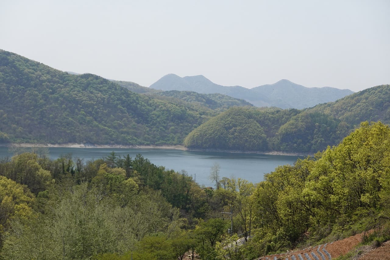 용인 자연휴양림 예약 캠핑장 카라반 계곡 짚라인 야영데크 몽골 핀란드