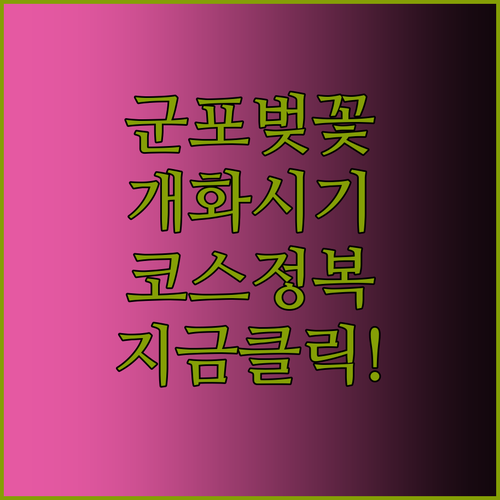 군포 벚꽃길 개화 시기와 구간 별 산..