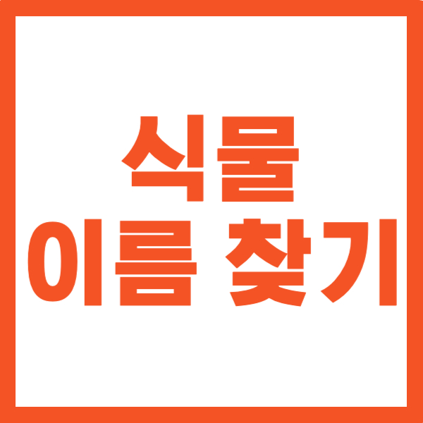 사진으로 식물 이름 찾기