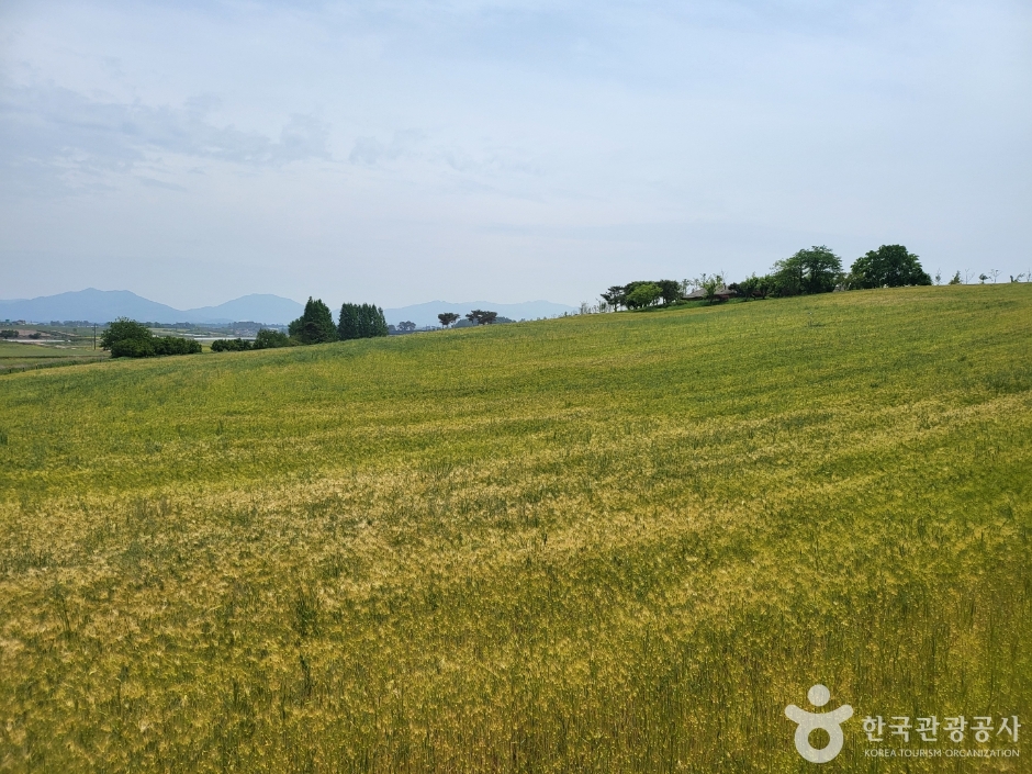 고창 가볼만한곳 베스트10