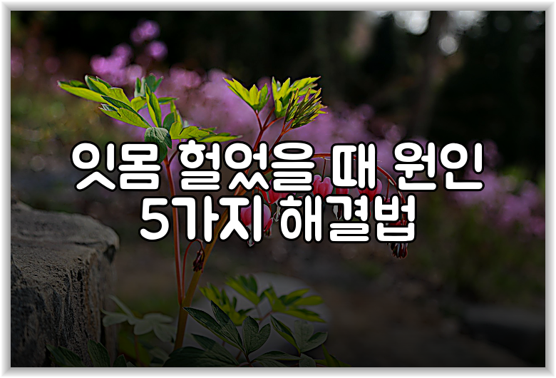 잇몸 헐었을 때 원인 5가지 해결법