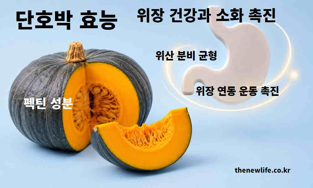 단호박 효능 위장 건강 소화 촉진