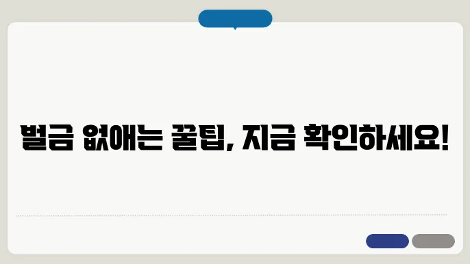 자동차 벌금 총정리