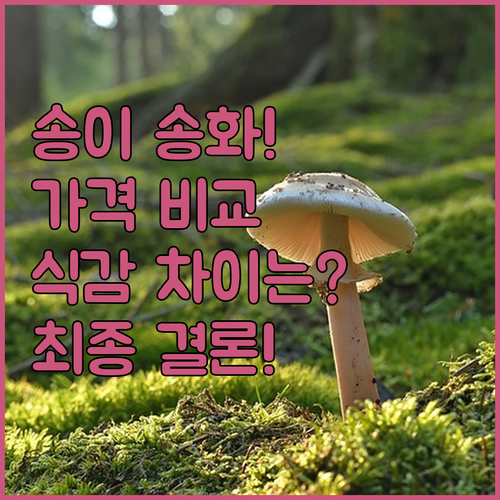 송이버섯 송화버섯 가격과 식감 특징 ..