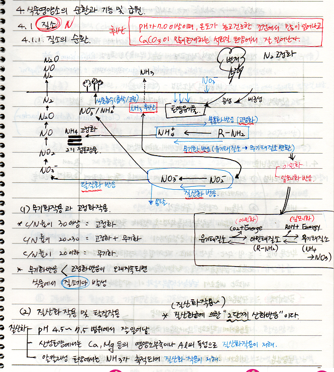 질소의 순환&#44; 무기화작용&#44; 고정화작용&#44; 질산화작용&#44; 탈질작용&#44; 질소고정&#44; 휘산&#44; 용탈