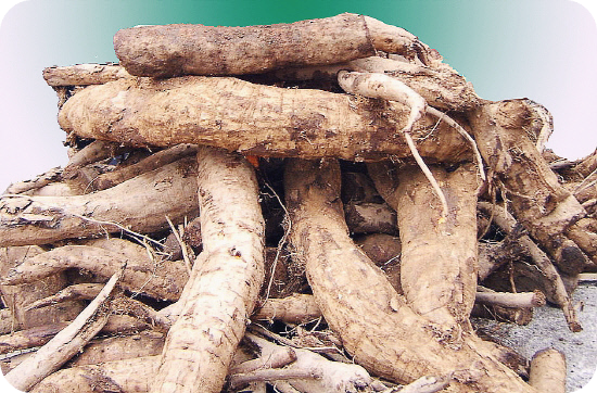 갱년기에-좋은-식품