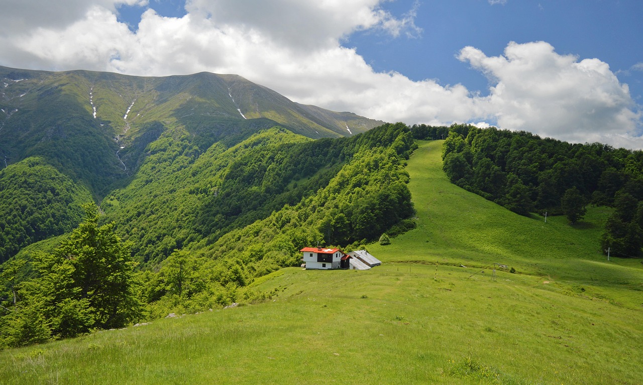 발칸·동유럽 관련 사진