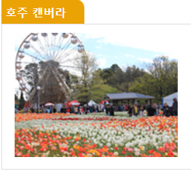 태안 세계 튤립 축제