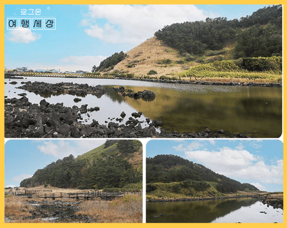 비양도 배 예약 - 팔랑못