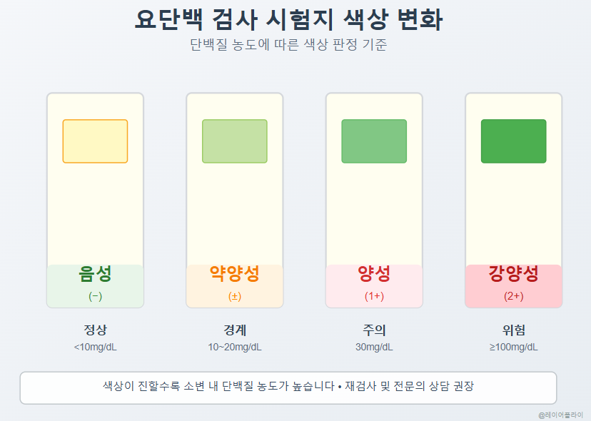 요단백검사시험지색상
