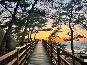 걷기 좋은 명품 숲길 50선 전국 서울 경기_25