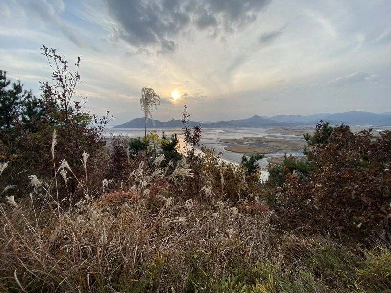 순천만습지 용산전망대