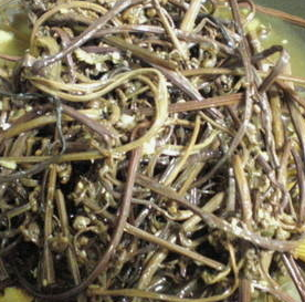 고사리 효능과 부작용 고르는법 칼로리