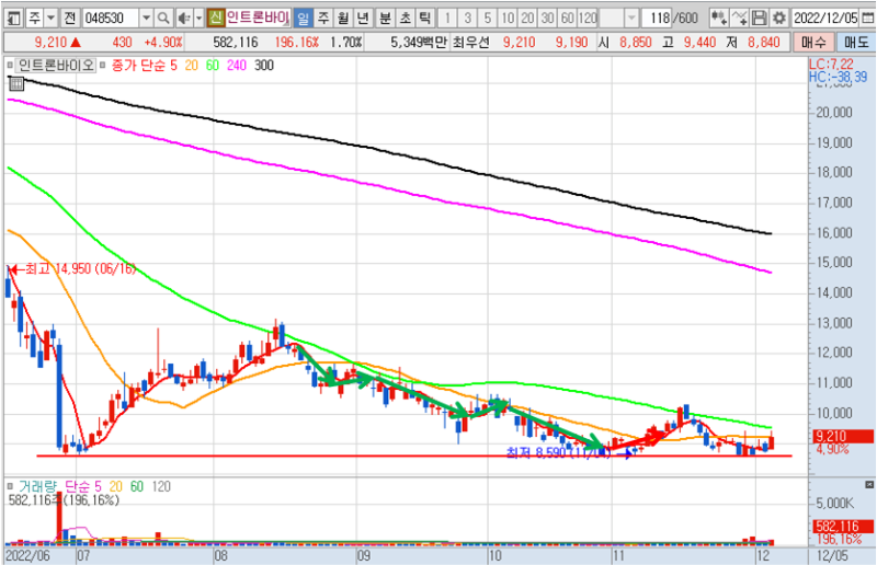인트론바이오 일봉 차트